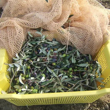 Casa de Campo Il Vecchio Carro