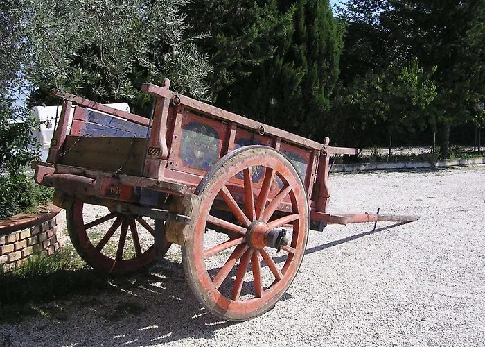 Летний дом Agriturismo Il Vecchio Carro *
